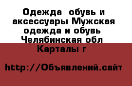 Одежда, обувь и аксессуары Мужская одежда и обувь. Челябинская обл.,Карталы г.